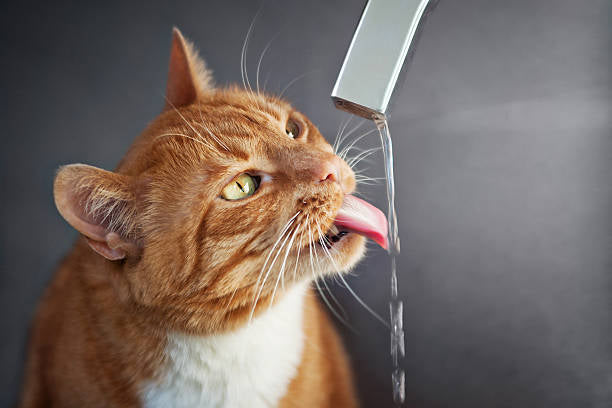 Hydratation