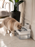 Fontaine à Eau Sans Fil pour Chats & Chiens