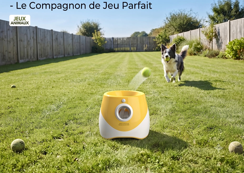 Lanceur Automatique de Balles