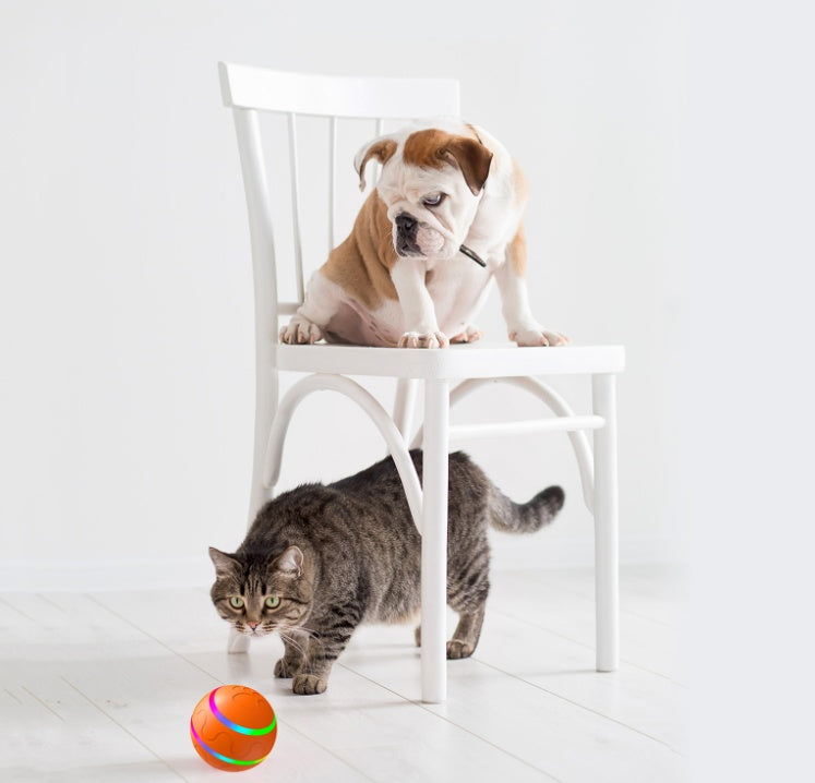 Balle interactif pour chat et chien Jouet intelligent 