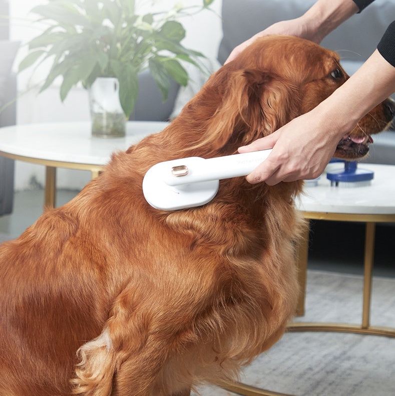 Brosse auto nettoyante pour chien et chat avec bouton pression