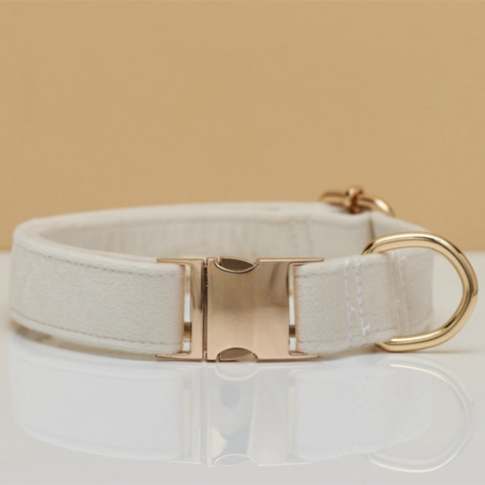 Collier laisse pour chiens blanc 