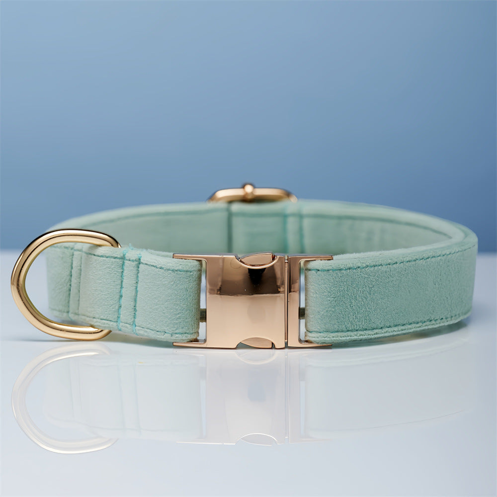 Collier laisse pour chiens bleu entre 2 et 3 cm 