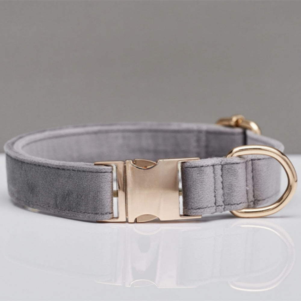 Collier laisse pour chiens gris entre 2 et 3 cm 