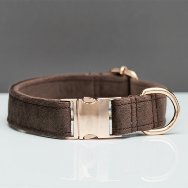 Collier laisse pour chiens marron entre 2 cm et 3 cm 