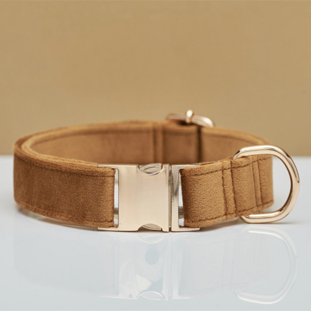 Collier laisse pour chiens marron  entre 2 et 3 cm 