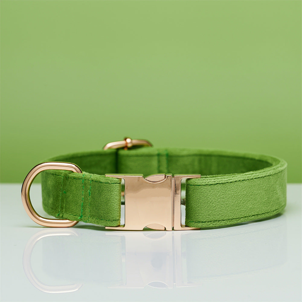 Collier laisse pour chiens vert entre 2 et 3 cm 