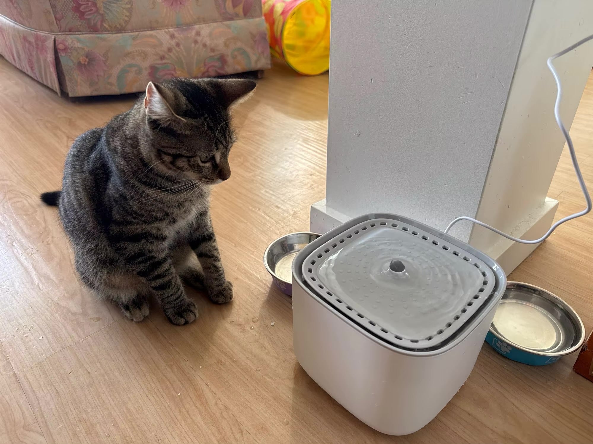 Fontaine à eau chat