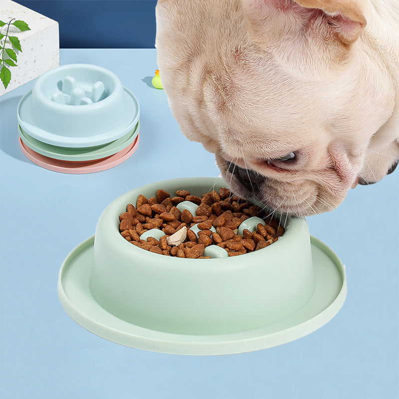 Gamelle anti glouton chat  et chien