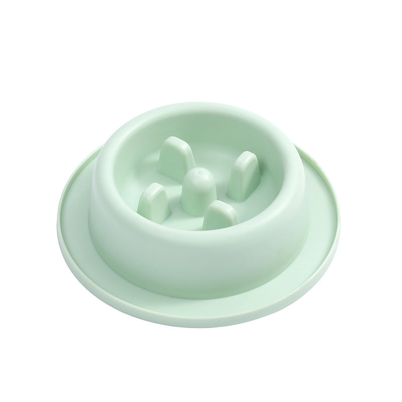 Gamelle anti glouton chat  et chien Vert