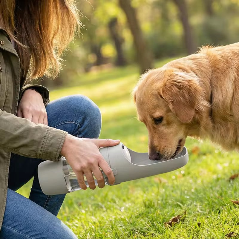 Gamelle transportable pour chien balade hydratation 