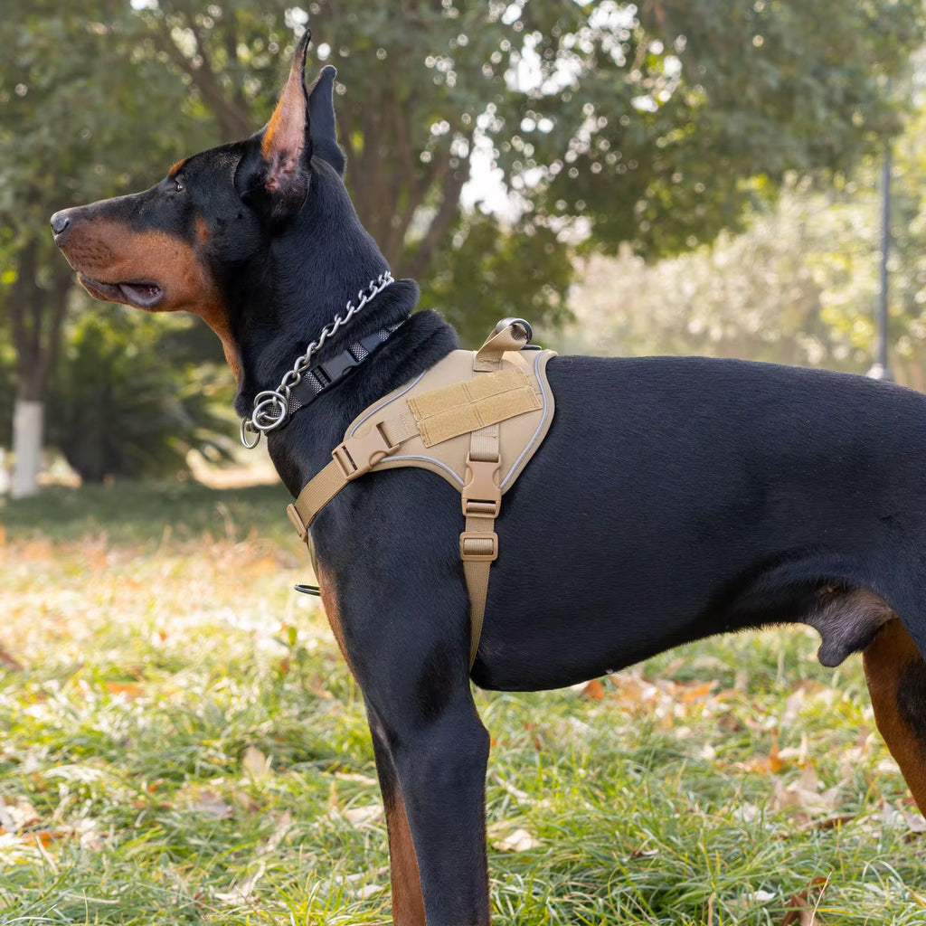 Harnais robuste pour chien Beige