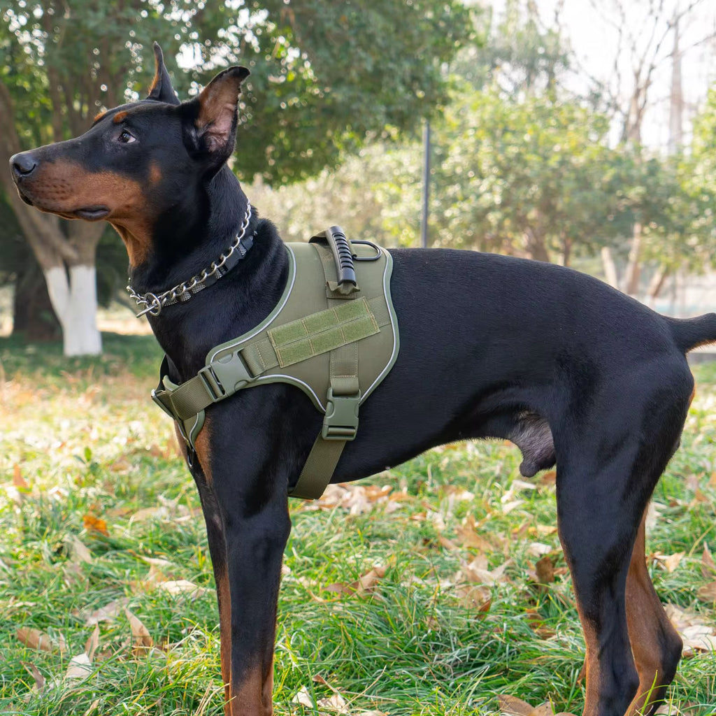 Harnais robuste pour chien Kaki