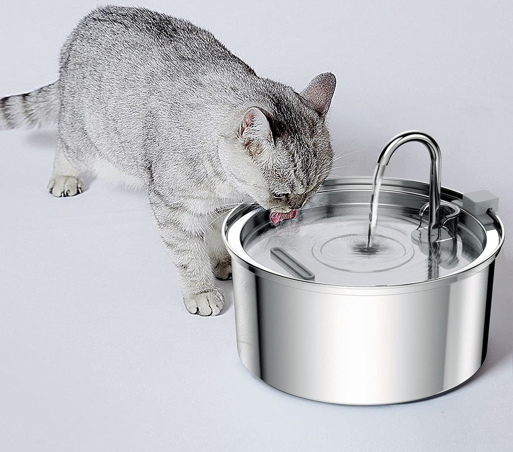 Fontaine à Eau Inox pour Chats & Chiens