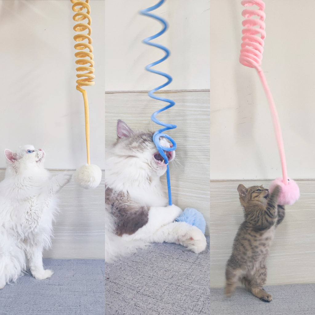 Jouet chat interactif canne à pêche , balle , autonomie 