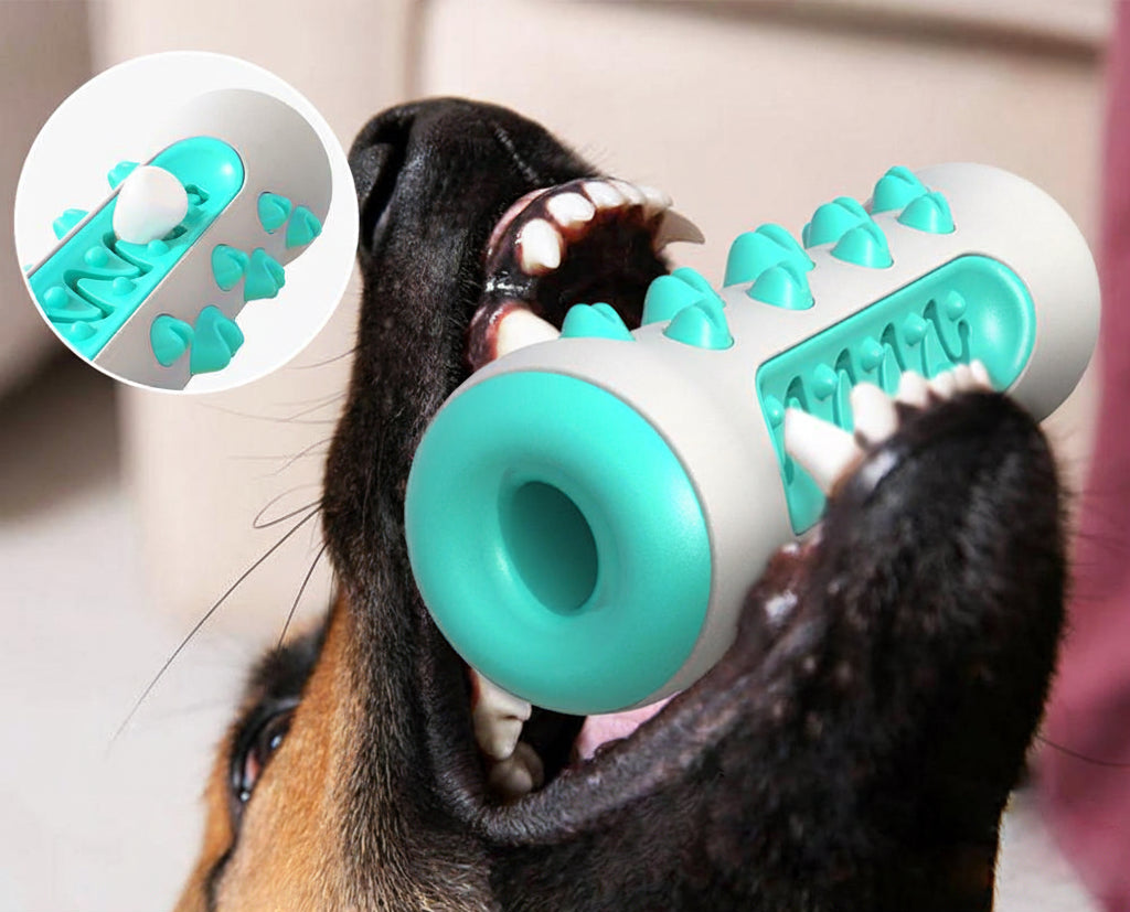 Jouet de mastication pour chien , jouet pour dent en bonne santé 