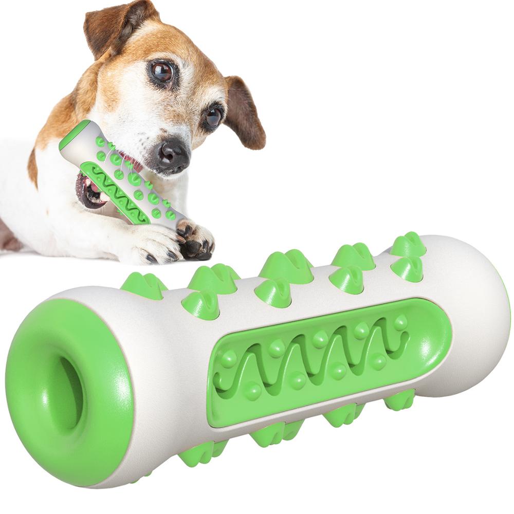 Jouet de mastication pour chien , jouet pour dent en bonne santé Vert
