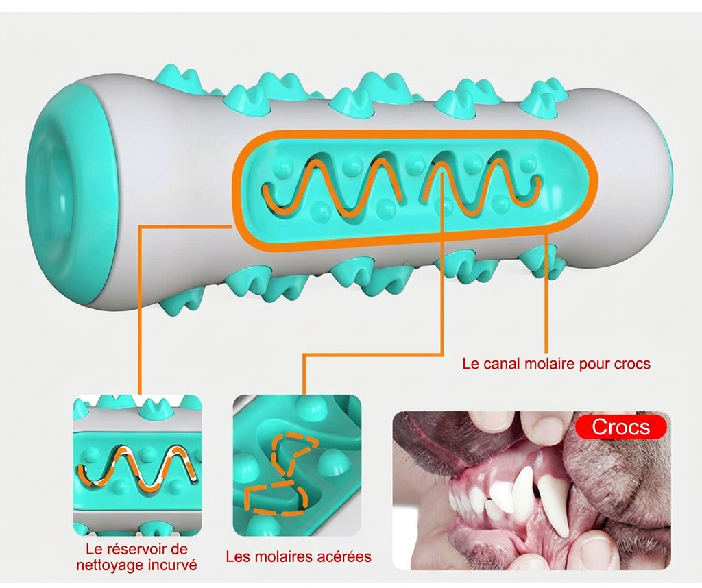 Jouet de mastication pour chien , jouet pour dent en bonne santé bleu