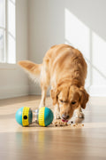 Jouet pour chien distributeur de friandise Bleu