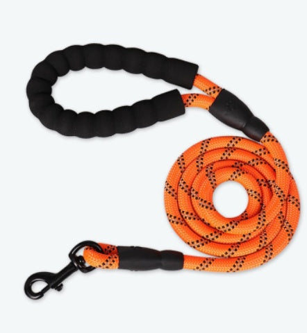 Laisse pour chiens robuste Orange